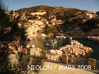 niolon2008.jpg